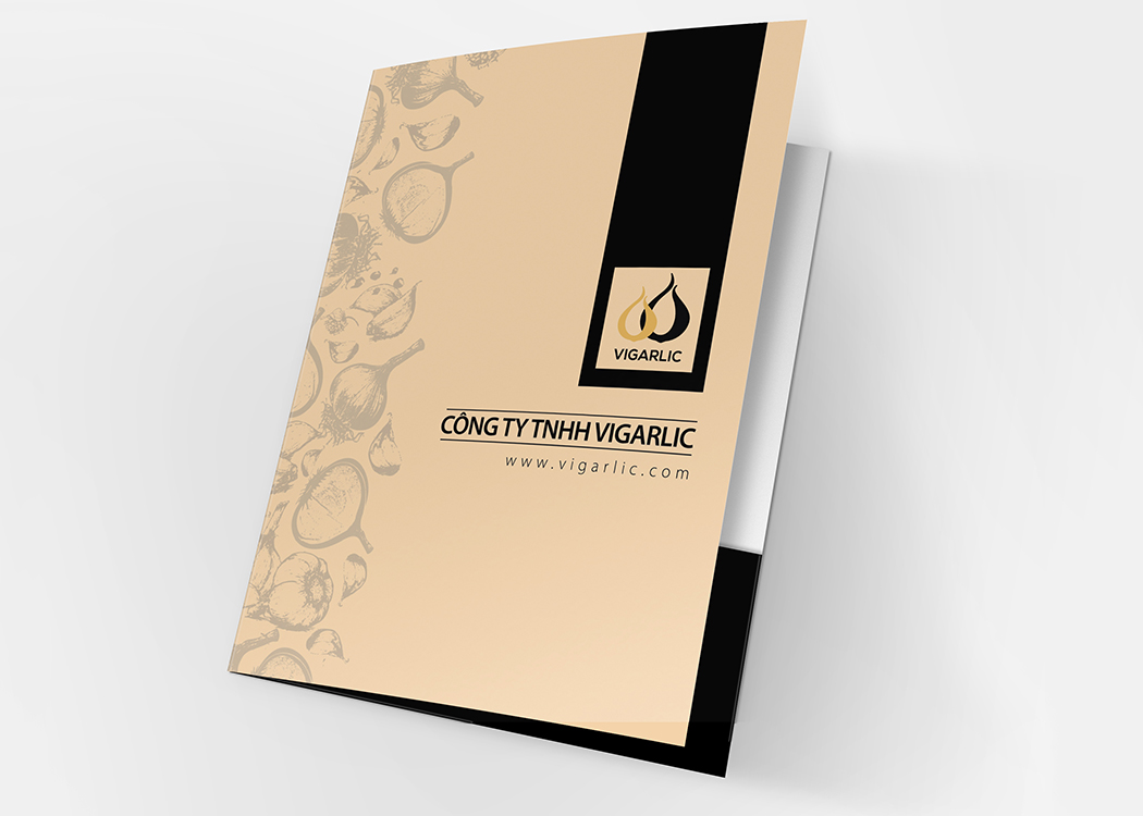 VIGARLIC - Sáng tạo mẫu thiết kế bao bì và nhận diện thương hiệu tỏi đen VIGARLIC